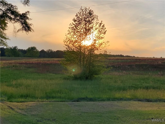 view of landscape featuring a rural view