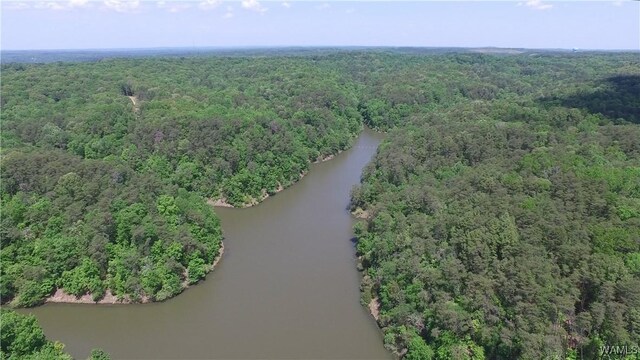 3100 Nicol Point Way NE Unit 01, Tuscaloosa, AL 35406 - photo 5