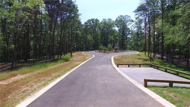 3100 Nicol Point Way NE Unit 01, Tuscaloosa, AL 35406 - photo 4