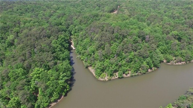 3100 Nicol Point Way NE Unit 01, Tuscaloosa, AL 35406 - photo 9