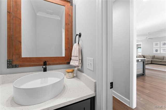 13880 Glenview Dr, Northport, AL 35475 - bathroom with vanity, wood finished floors, and a ceiling fan