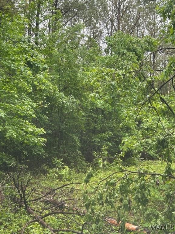 000 Beaver Creek Rd, Vernon, AL 35592 - photo 3