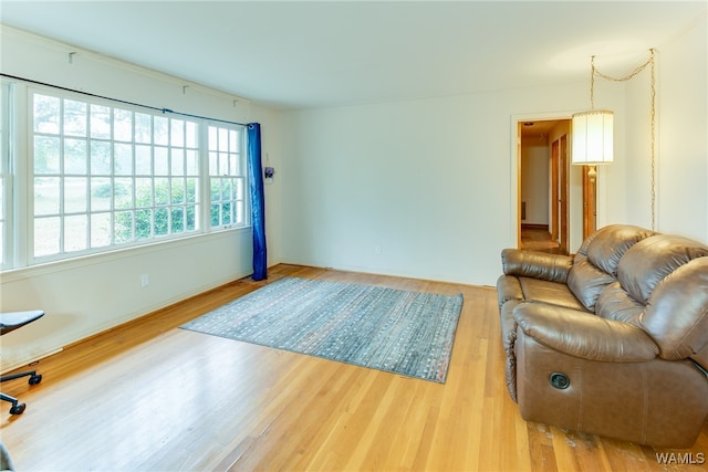 living room with wood-type flooring