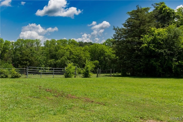 0 N Washington St, Livingston, AL 35470 - photo 4