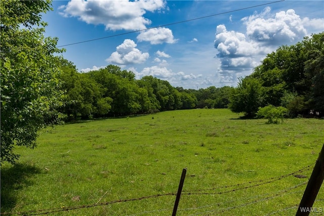 0 N Washington St, Livingston, AL 35470 - photo 5