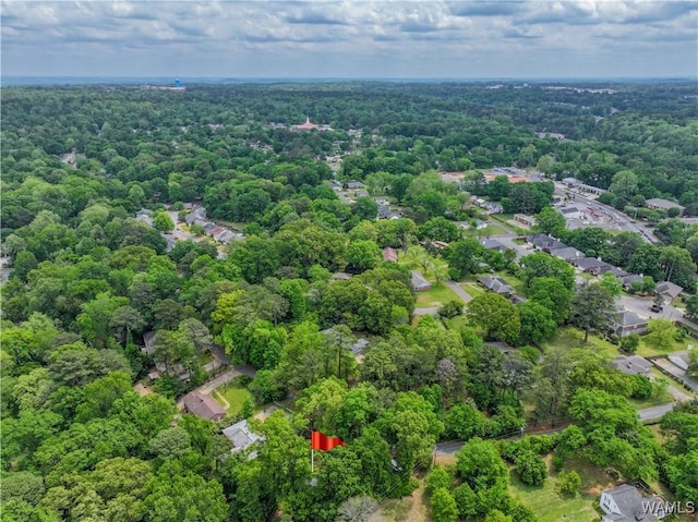 7 Hickory Ln, Tuscaloosa, AL 35404 - photo 10