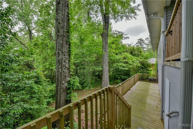 7 Hickory Ln, Tuscaloosa, AL 35404 - photo 40