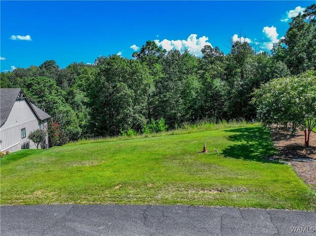 10288 Legacy Ln, Northport, AL 35475 - photo 5