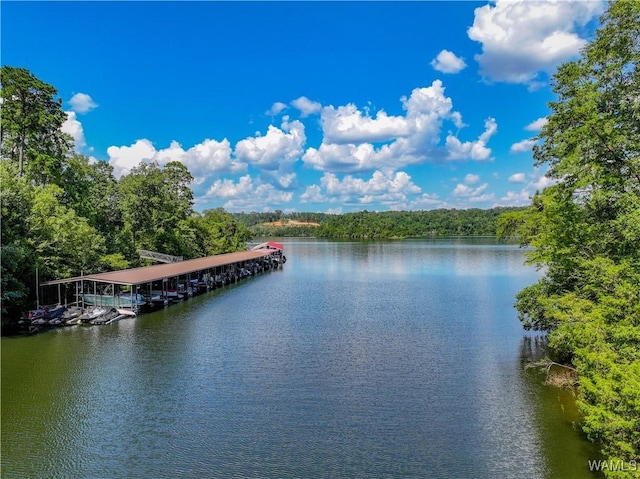 10288 Legacy Ln, Northport, AL 35475 - photo 17