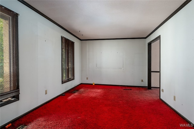 carpeted empty room featuring ornamental molding