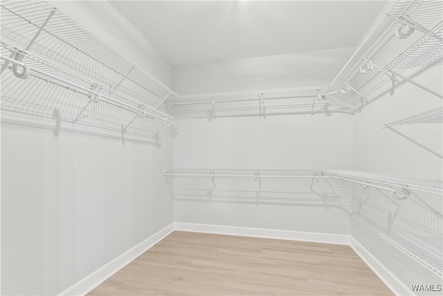 walk in closet featuring hardwood / wood-style floors