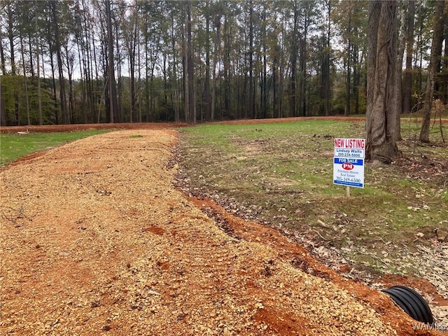 231 Pinecrest Ln, Pickensville, AL 35447 - photo 15