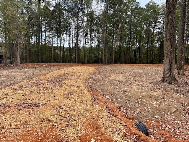 231 Pinecrest Ln, Pickensville, AL 35447 - photo 4