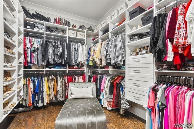 6020 Carleton Park Cir, Tuscaloosa, AL 35406 - spacious closet with wood finished floors