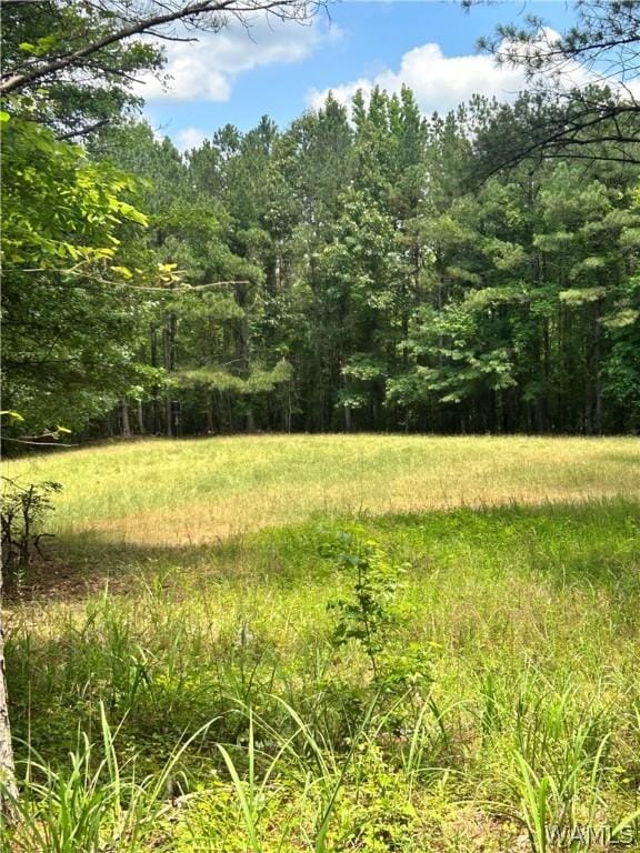 0 Piddlers Rd, Berry, AL 35546