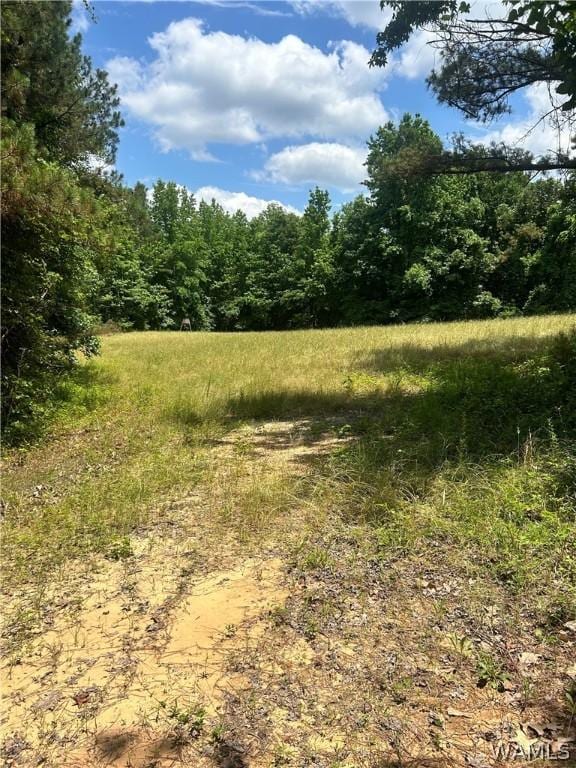 0 Piddlers Rd, Berry, AL 35546
