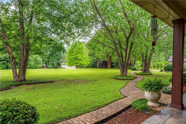view of yard
