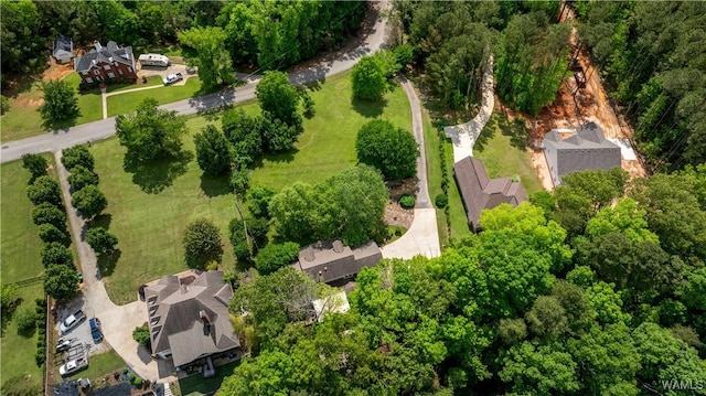 bird's eye view