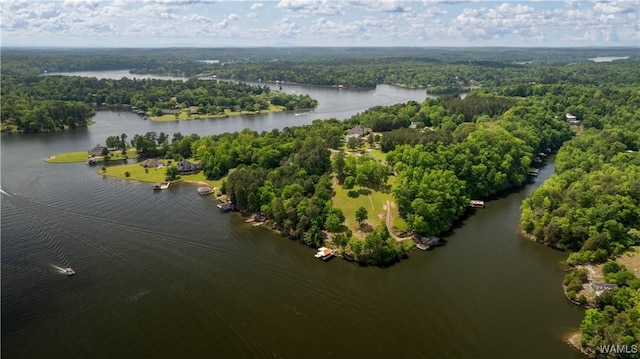 birds eye view of property featuring a water view and a wooded view