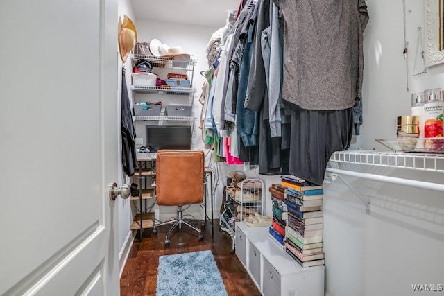 13782 Highland Pointe Dr, Northport, AL 35475 - walk in closet with wood finished floors