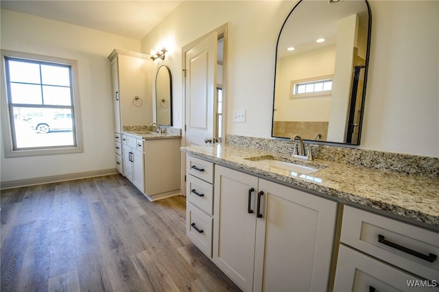 bathroom featuring two vanities, a sink, and wood finished floors