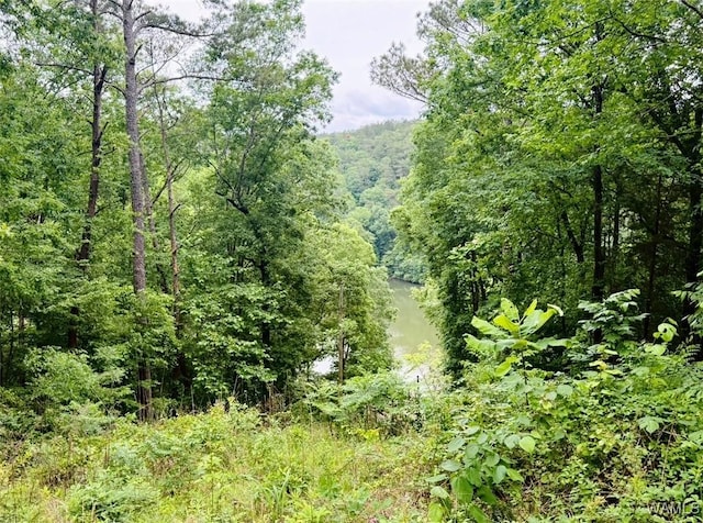 14380 William Camp Rd, Northport, AL 35475 - photo 13
