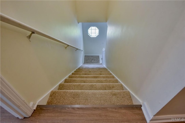 1549 Lesley Dr, Tuscaloosa, AL 35406 - photo 33