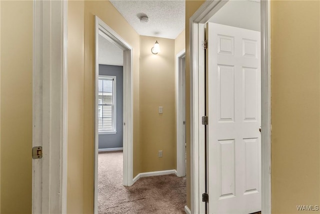 7714 Thompsons Way, Northport, AL 35473 - corridor featuring carpet floors and a textured ceiling