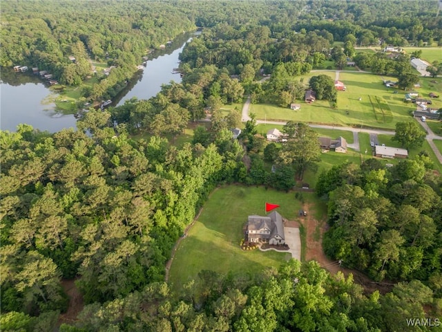 10998 Sleepy Valley Rd, Northport, AL 35475 - view of property location with a nearby body of water and a heavily wooded area