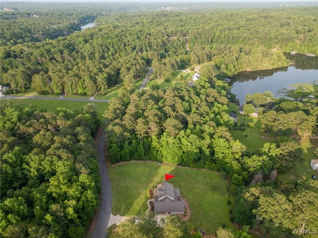 10998 Sleepy Valley Rd, Northport, AL 35475 - view of property location featuring a heavily wooded area and a nearby body of water