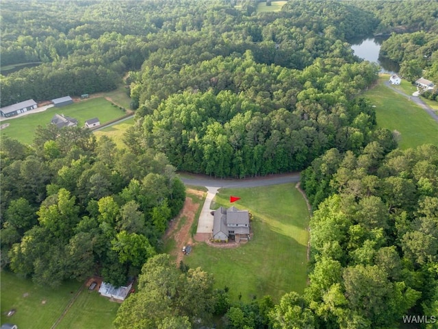 10998 Sleepy Valley Rd, Northport, AL 35475 - aerial view of property and surrounding area with a forest and a nearby body of water