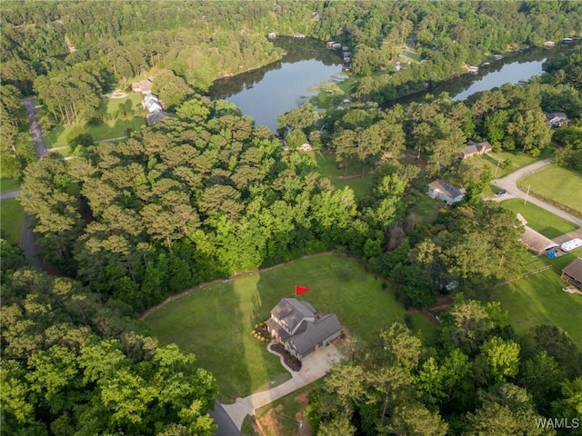 10998 Sleepy Valley Rd, Northport, AL 35475 - view of property location featuring a forest and a large body of water