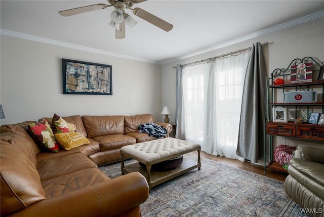 living room featuring a ceiling fan, crown molding, and wood finished floors