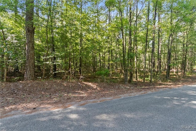 LOT17 Grandview Dr, Northport, AL 35475