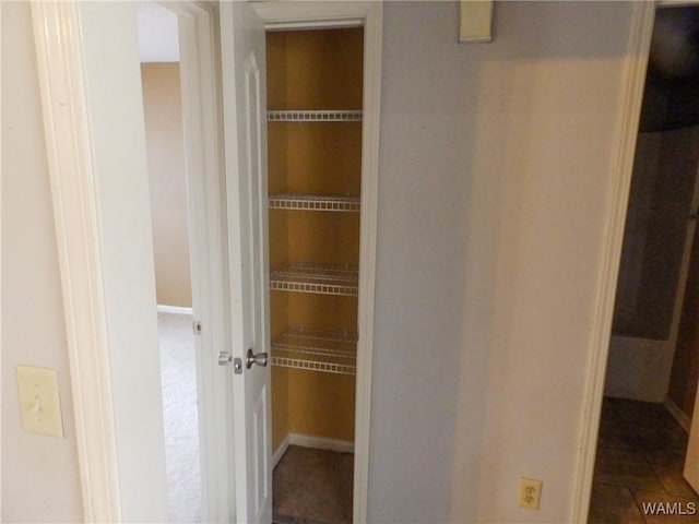 view of closet