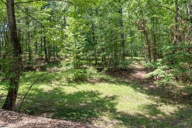 0000 Knollwood Rd, Northport, AL 35475 - photo 4