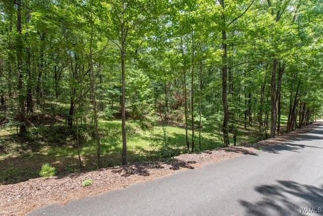 0000 Knollwood Rd, Northport, AL 35475 - photo 3