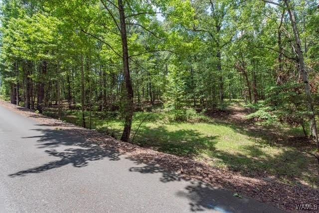 0000 Knollwood Rd, Northport, AL 35475 - photo 1