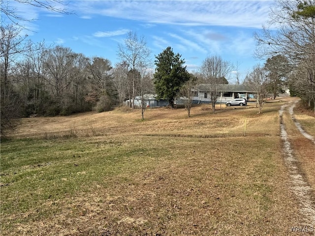 view of yard featuring a carport