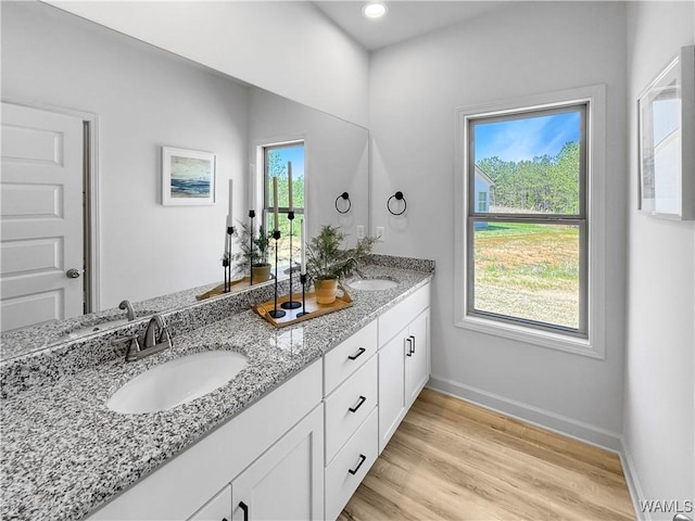 bathroom featuring a sink, baseboards, double vanity, and wood finished floors