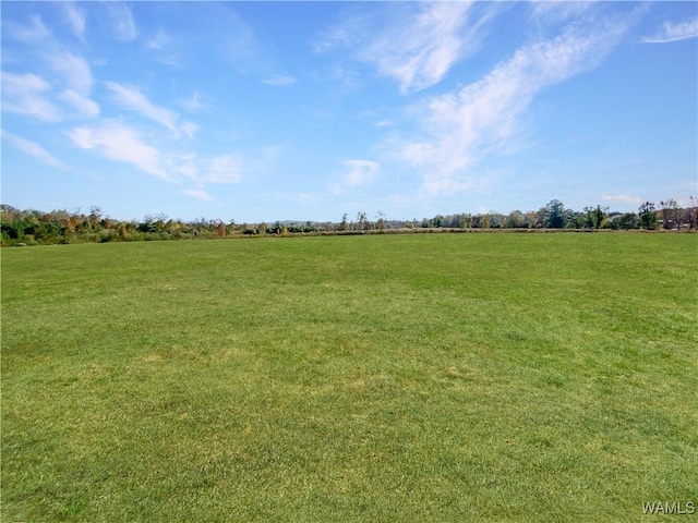 view of landscape featuring a rural view
