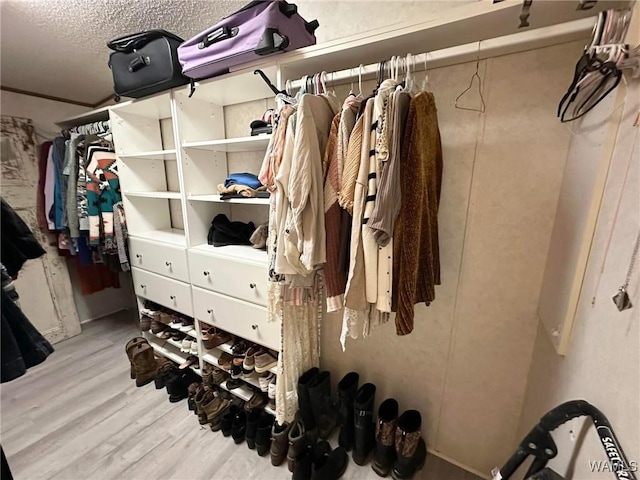 walk in closet featuring light hardwood / wood-style floors