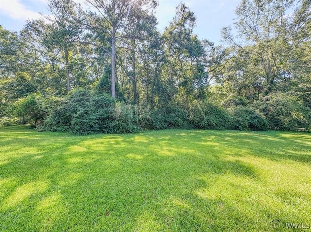 763 4th St SW, Gordo, AL 35466 - photo 11
