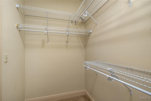 view of spacious closet