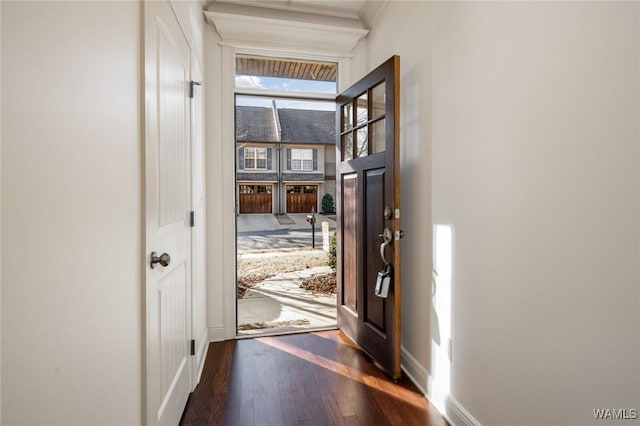 doorway with crown molding and dark hardwood / wood-style floors