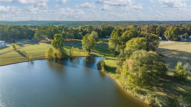 7 Hilltop Ests, Northport, AL 35475 - photo 49