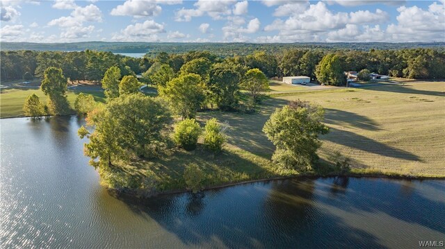 7 Hilltop Ests, Northport, AL 35475 - photo 48