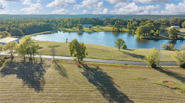 7 Hilltop Ests, Northport, AL 35475 - photo 32