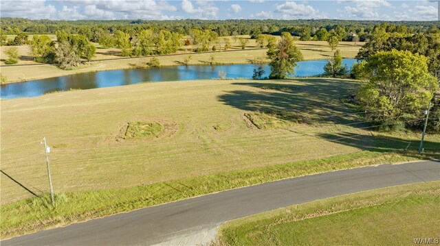 7 Hilltop Ests, Northport, AL 35475 - photo 9