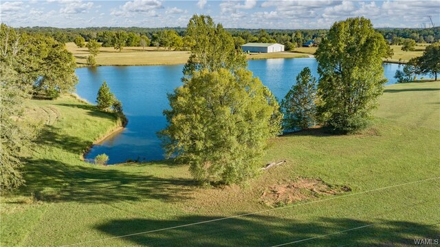 7 Hilltop Ests, Northport, AL 35475 - photo 3